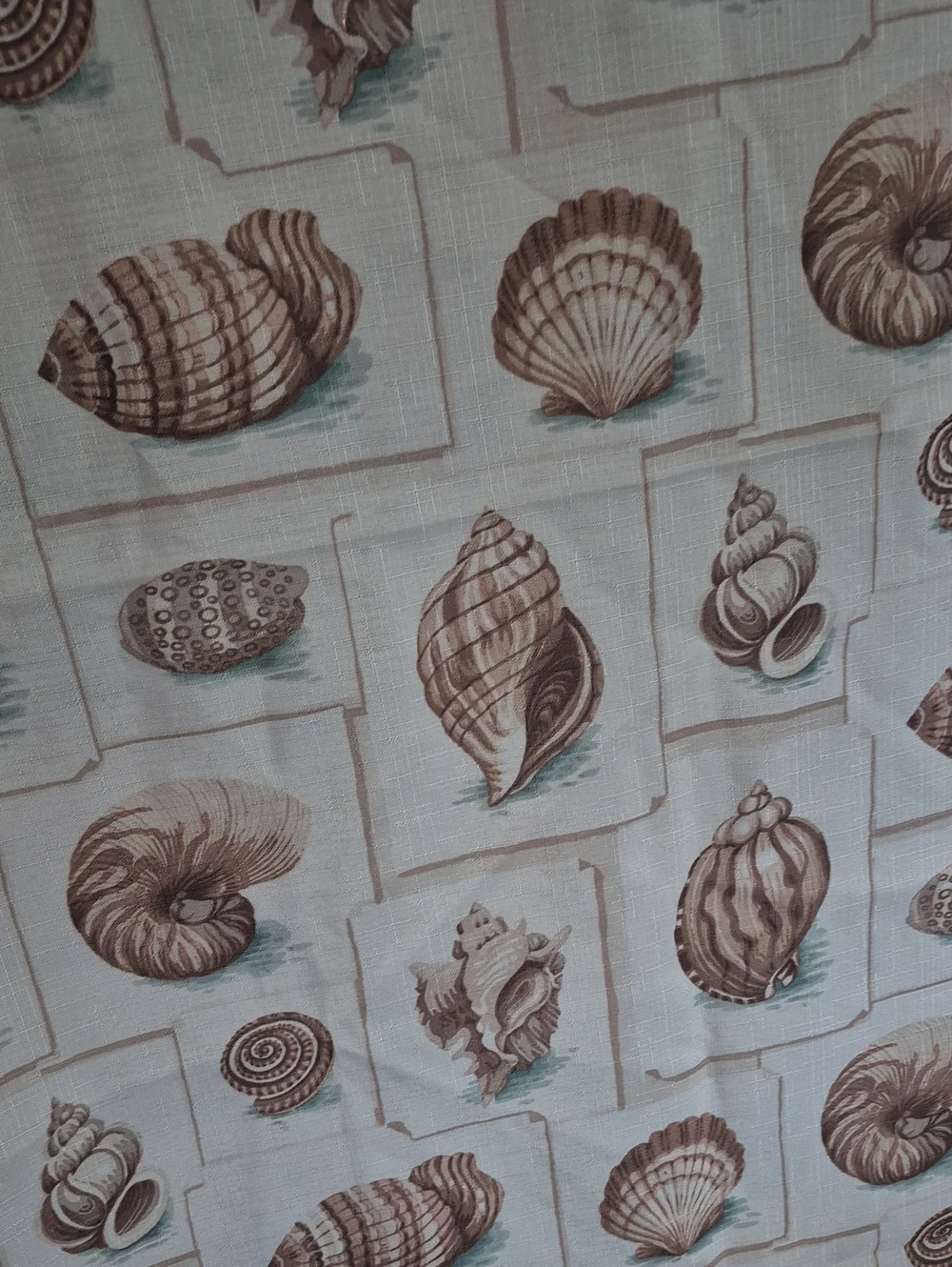 Seashell Pattern Fabric Shower Curtain Cream and Brown